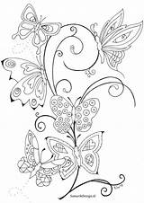 Kleurplaat Bloemen Volwassenen Kleurplaten Vlinders Vlinder Mandala Volwassen Omnilabo Uitprinten Makkelijk Regenboog Downloaden Patterns sketch template