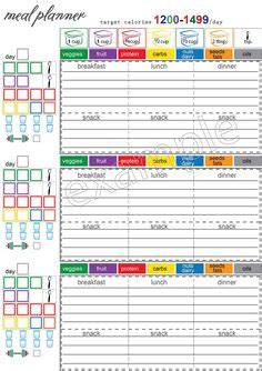 print carb counter chart carb counting work sheet sample