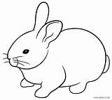 Hasen Kelinci Sketsa Ausmalbilder Iepurasi Mewarnai Putih Hitam Diwarnai Colouring Malvorlagen Rabbits Colorat Cool2bkids Mudah Clipartmag Desene sketch template