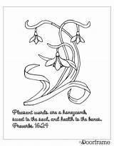 Proverbs Kindness Snowdrops Payhip sketch template