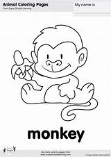 Monkeys Supersimple Jumping Pict Asd4 sketch template