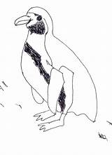 Penguin Humboldt Coloring Printable Quesper sketch template