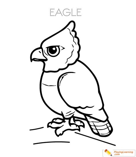 eagle coloring page   eagle coloring page