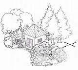 Drawing Trees Canopy Landscape Tree Tips House Rainforest Forest Habitat Draw Maple Desert Using Getdrawings Shade Southwest Outside Summer Sun sketch template