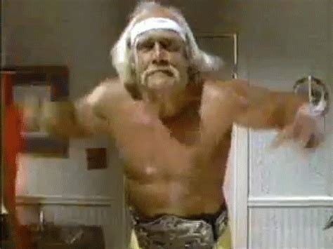 hulkster s find and share on giphy