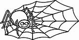 Spider Coloring Tortoise Designlooter Anansi sketch template