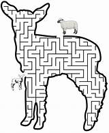 Mazes Labirint Labirinto Ovelha Dominical Leaping Musings Inkspired Lambs Puzzles Trafic Shaped Coloringhome Azcoloring sketch template