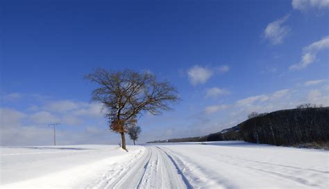 무료 이미지 경치 자연 산 눈 날씨 시즌 파란 하늘 겨울 풍경 나무 룩셈부르크 Piste 동결