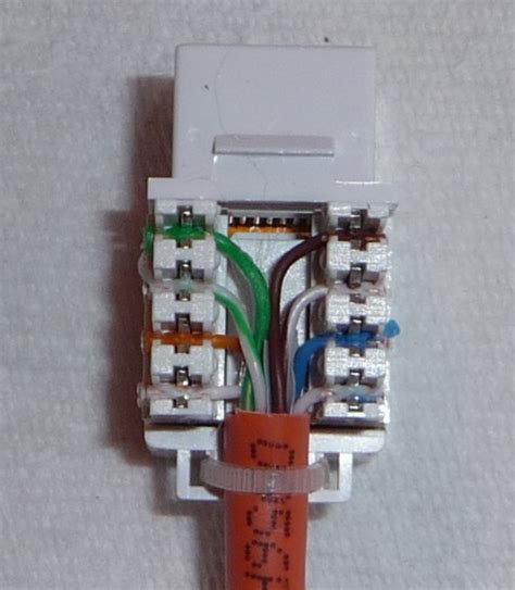 understanding  cat  wiring diagram wall jack wiring diagram