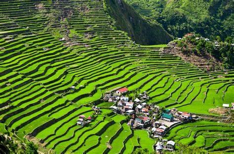 Batad Rice Terraces Philippines Unesco Described Batad