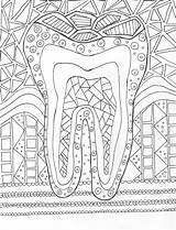 Hygiene Zahnarzt Zahn Dentistry Dentist Hygienist Kostenlose Malvorlagen Jobs Bind sketch template