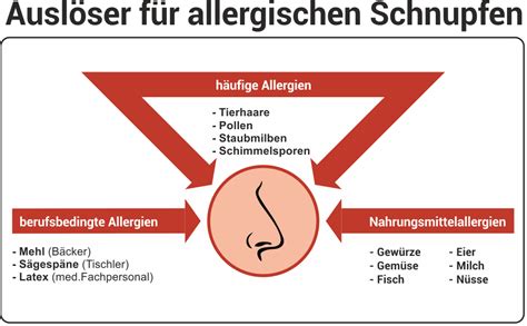 allergischer schnupfen ratgeber hilfe behandlung