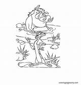 Timon Pumbaa Coloring Zazu sketch template