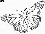 Printable Monarch Schmetterling Outline Ausmalbilder Papillon Monarca Mariposa Mariposas Monarcas Monarque Cocoon Pixgood Hubpages sketch template