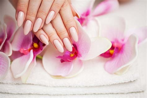 nail care service  beauty industry blog hesstudios