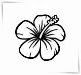Flower Hawaiana Hibiscus Fleur Hawaianos Fleurs Ayayhome Fashioneal sketch template