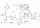 Sheep Kids Coloring Print sketch template