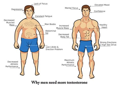 restore sex drive with testosterone replacement therapy trt