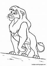 Coloring Pages Lion King Kovu Kiara Kion Guard Vitani Kopa Clip Popular Library Template Coloringhome sketch template