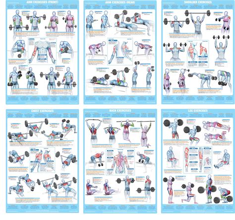 weight training exercise posters bodybuilding chart amazoncouk
