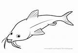 Coloring Fish Pages Tropical Catfish Printable Hubpages Drawing Lab Aquarium sketch template