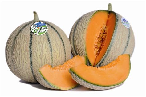 astuces essentielles pour bien choisir son melon