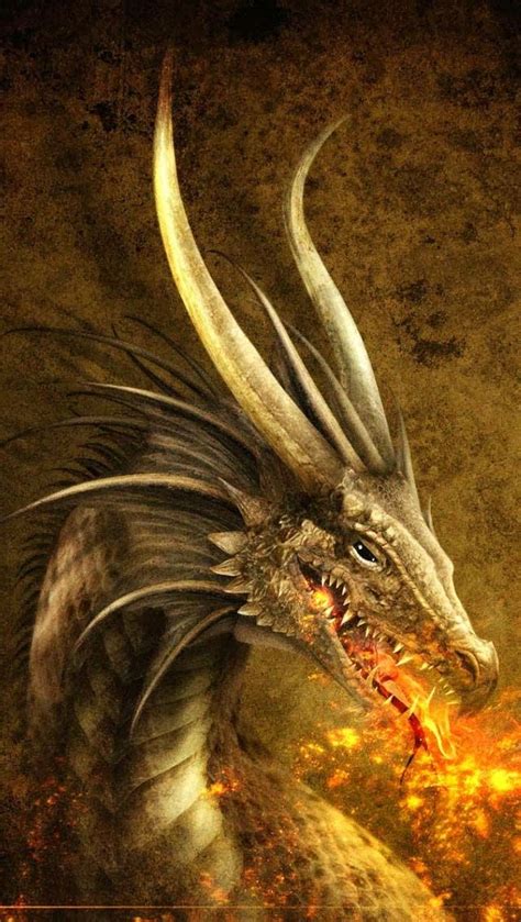 gold dragon dragons pinterest