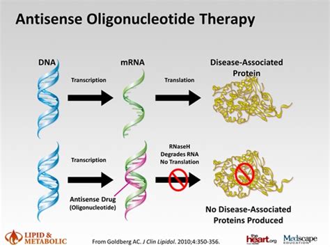 Antisense Oligonucleotide Therapy In The Management Of Dyslipidemia