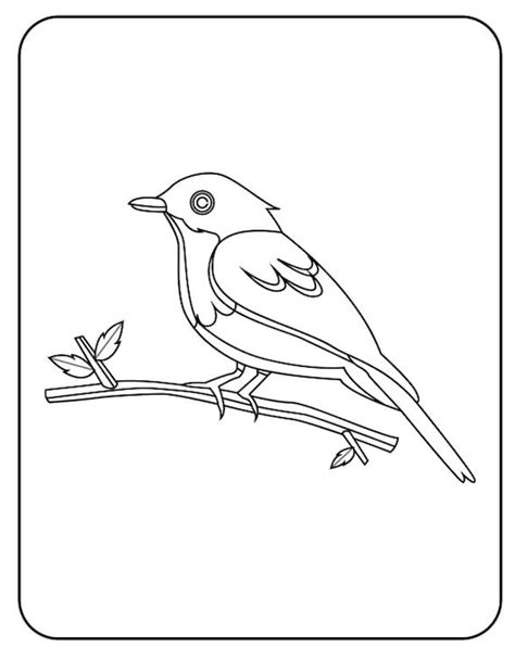 birds colouring pages digital   pages etsy