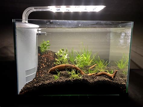 planted tank  simple  gallon nano shrimp tank rplantedtank