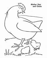 Chicken Coloring Template Pages Farm Hen Animal Animals Mother Guinea Fowl Chickens Kids Printable Templates Chicks Activity Print Hatching Crafts sketch template