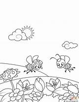 Wiese Prato Ausmalbilder Meadow Ausmalbild Bienen Fiori Blume Bees Colorat Volano Flowering Flori Cu Supercoloring Două Albine Uda Planse Copii sketch template