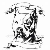 Pitbull Bull Tribal Minimalista Bulldog sketch template