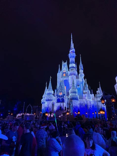 disney world holiday season  trip report part