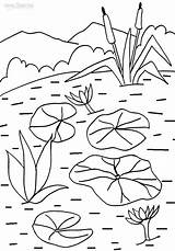 Lily Coloring Pad Pages Water Printable Kids Lilies Cool2bkids Flower Color Pads Floating Getcolorings Print sketch template