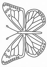 Mariposas Momjunction Colorear24 Butterfly1 Monarch sketch template