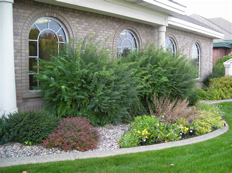 Shrub And Small Tree Trimming And Pruning Precision Cut