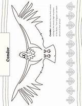 Coloring Andes Pages Animals Daria Music sketch template