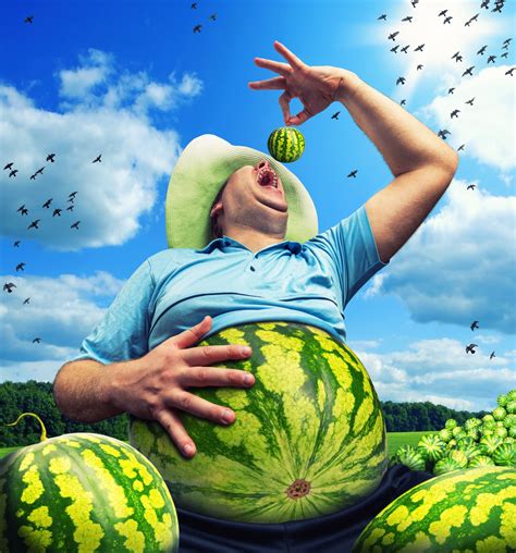 stock photo website shares  wonderfully weird images  searches