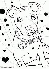Coloring Pitbull Pages Bull Dog Pit Terrier Puppies Printable Puppy Twozies Drawing Silhouette Getdrawings Getcolorings Face Clip Popular Colorings sketch template