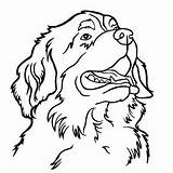 Berner Sennen Sennenhund Honden Feuerkorb Schetsboek sketch template
