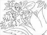 Pixie Fairy Coloring Pages sketch template