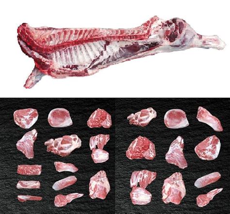 beef carcass  cuts  beef product info tragate