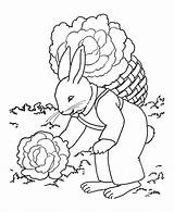 Gardening Rabbit Sheets sketch template