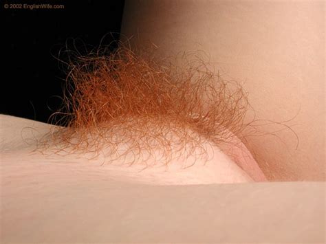 Sexy Redhead 16 Different Flaming Red Puss Xxx Dessert Picture 14