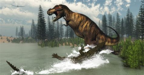 happened  earth    dinosaurs died  sal