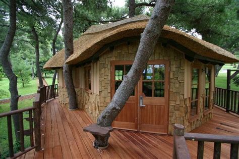 images  cool tree houses  pinterest