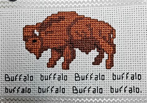 completed project rbuffalo