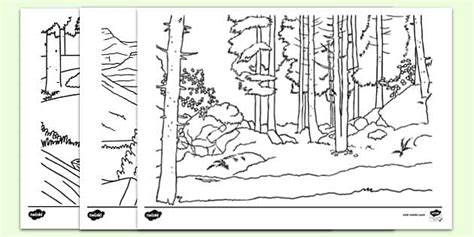 printable forest colouring pages woodland colouring sheets