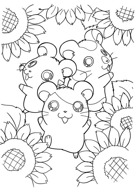 hamster printable coloring pages printable templates